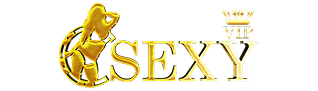 Casino Slot เว็บพนันออนไลน์